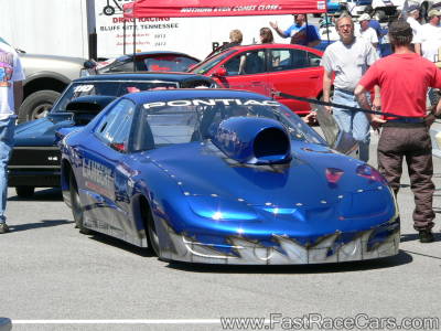 BLUE FIREBIRD FRONT BLUE FIREBIRD FRONT